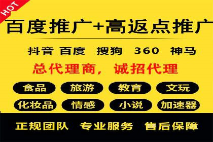 百度SEO推广策略全解析：某企业从零到一的成长历程